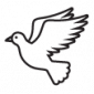 Music Groups